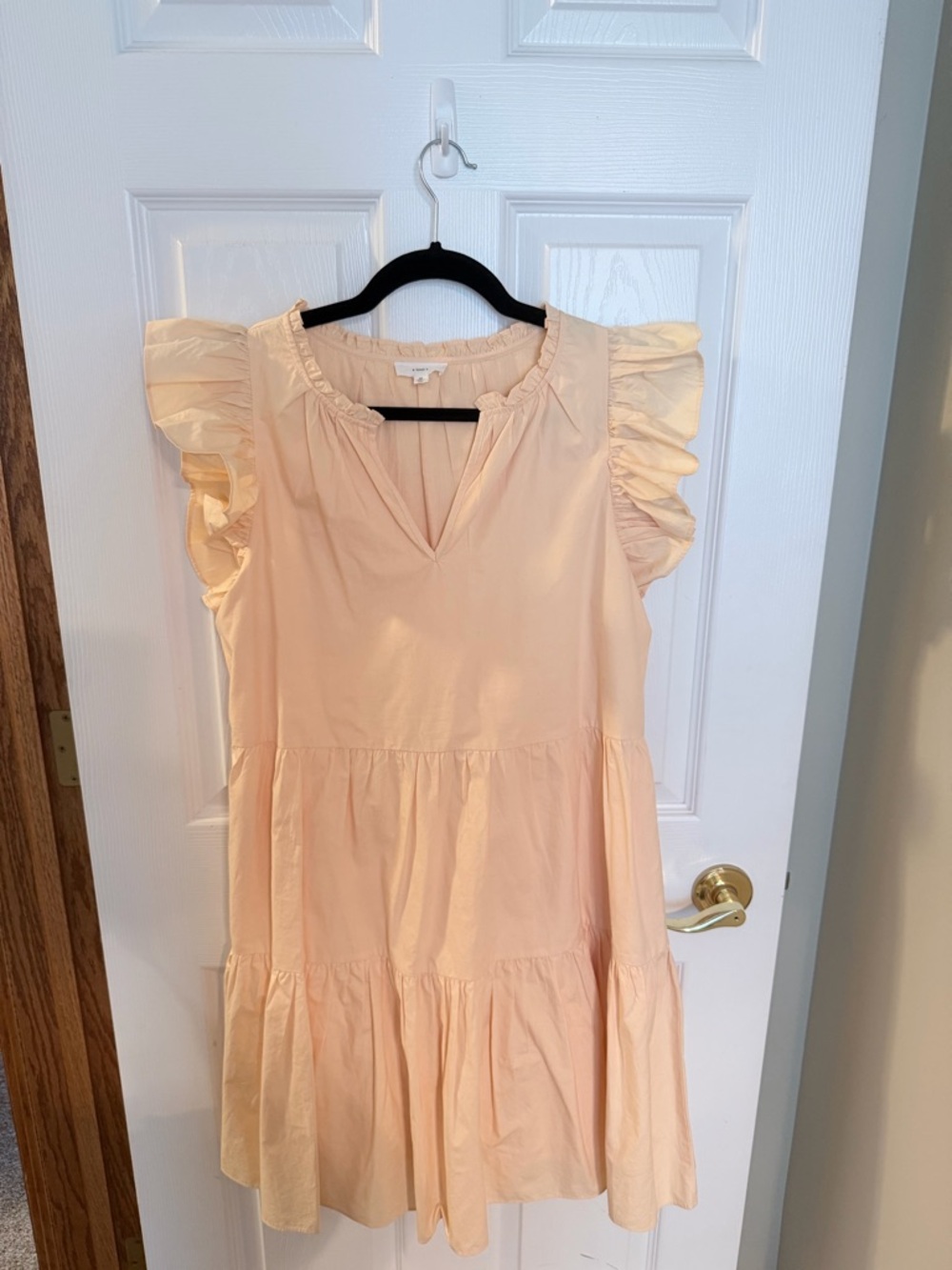 Women's Ruffle Sleeve Mini Dress in Pale Peach